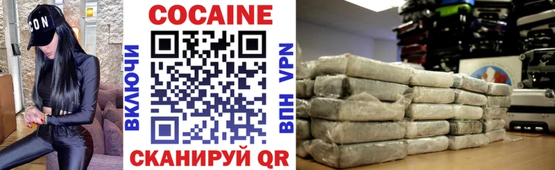 Купить закладки  Пестово  COCAIN FishScale 