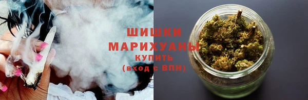 сатива Верея