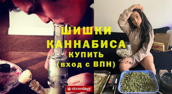 сатива Верея