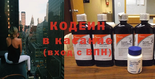 сатива Верея
