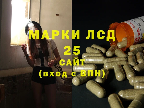 сатива Верея