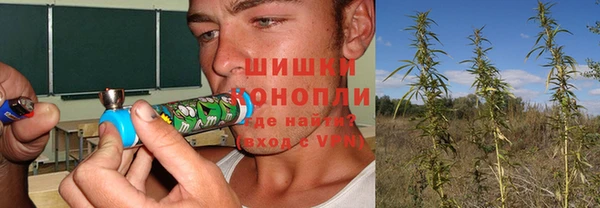 сатива Верея